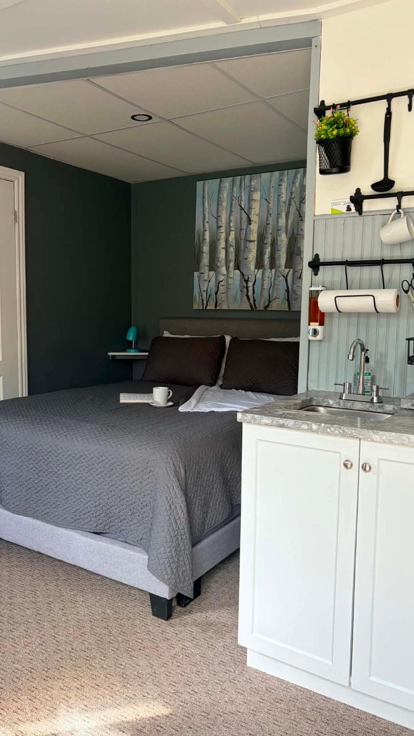 La Spacieuse Riverstone CITQ3O1849 Apartment in Quebec