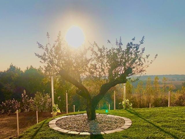 Garden, Sunset