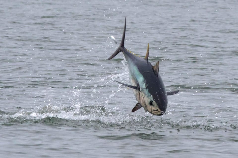 Activities, Fishing