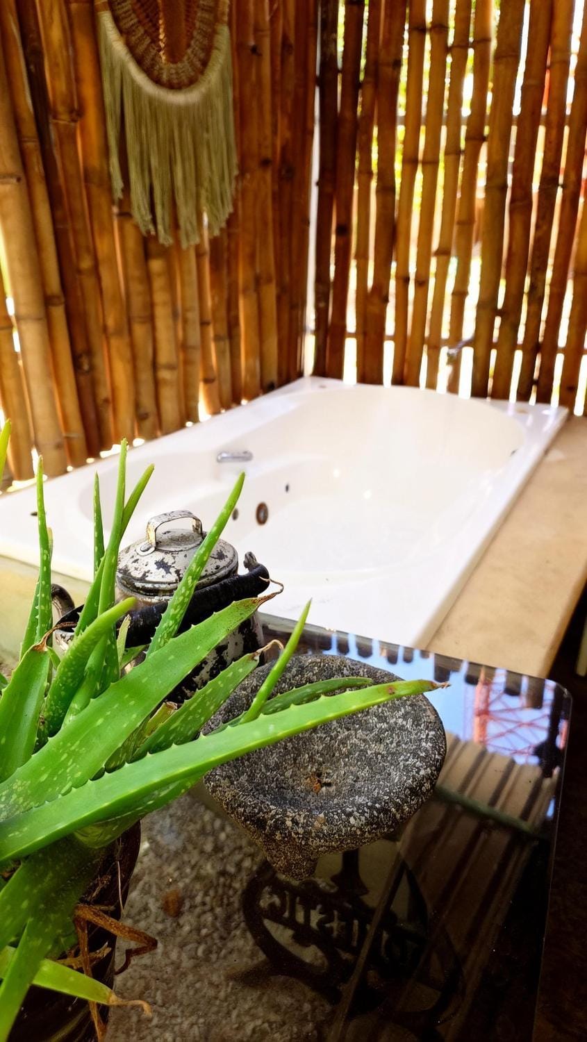 Casa Lili Excelente Oportunidad, Confort Total Y Alberca Apartment in State of Quintana Roo