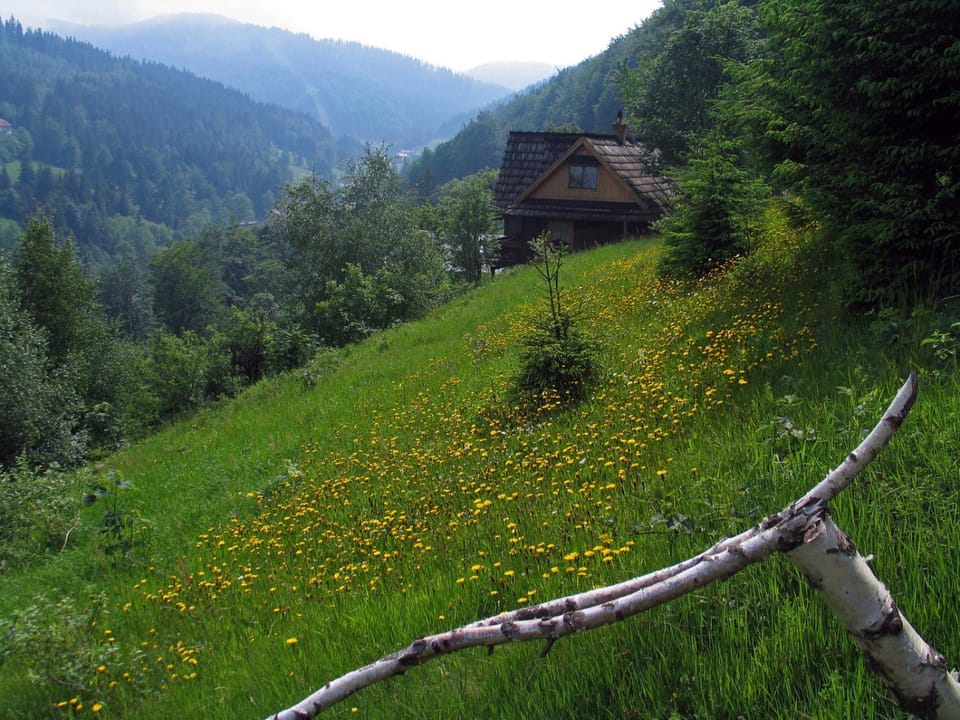 Natural landscape, Garden, Hiking, Garden view