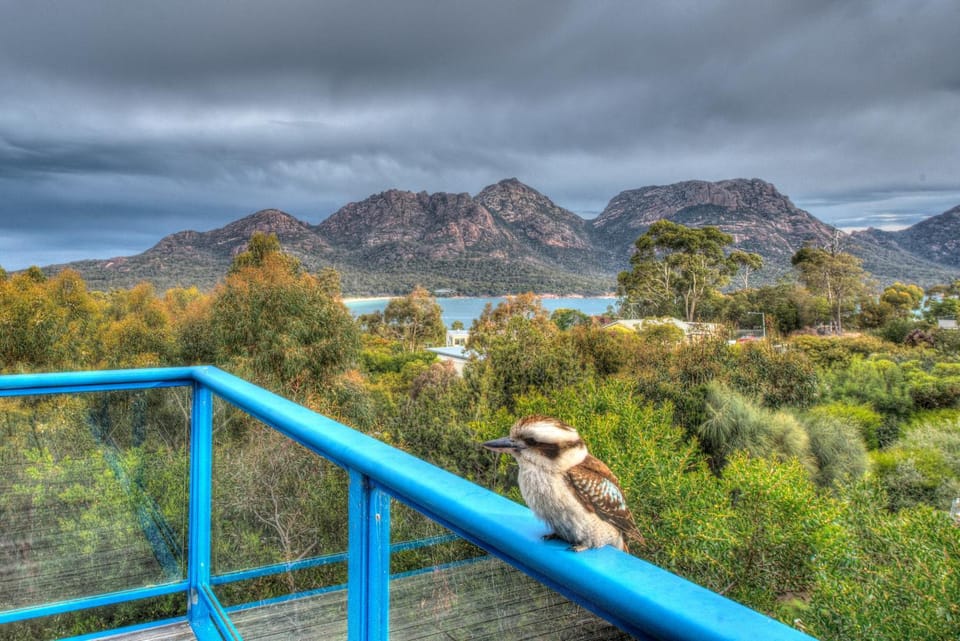 Nearby landmark, Natural landscape, Balcony/Terrace, Animals, Mountain view, Sea view