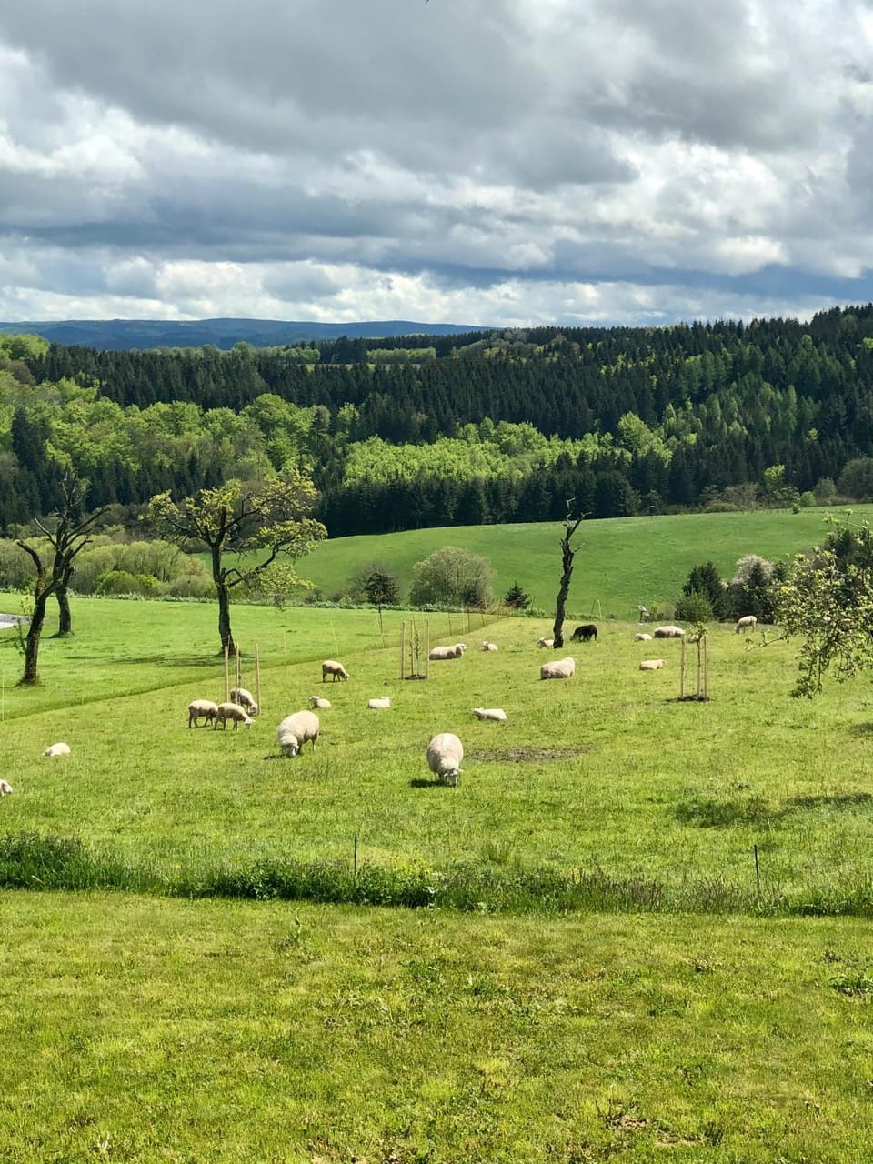 Natural landscape