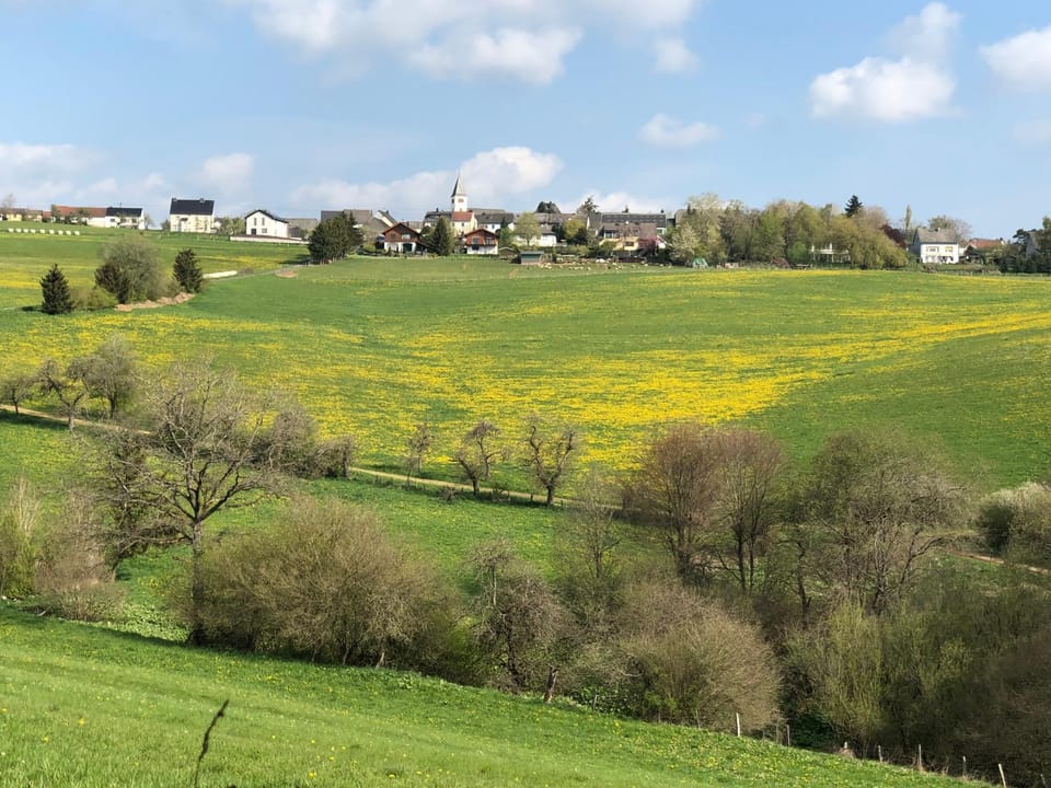 Natural landscape