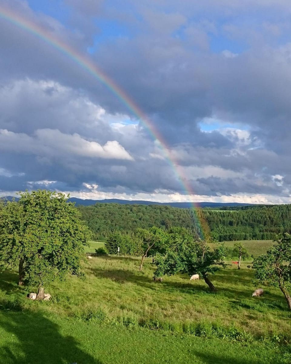 Natural landscape, Garden, Garden view