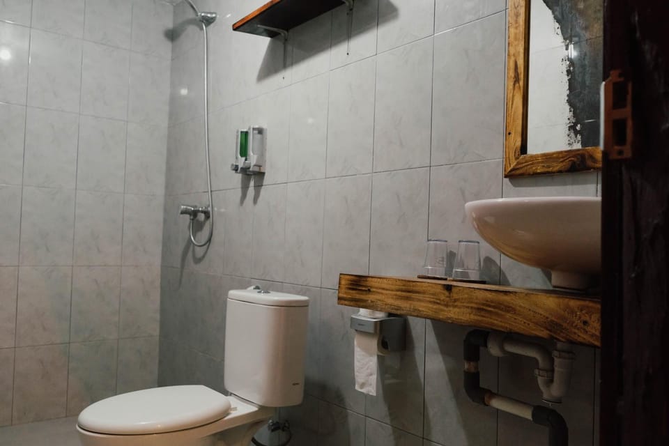 Shower, Toilet, Bathroom, bidet