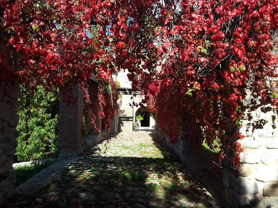 Property building, Garden