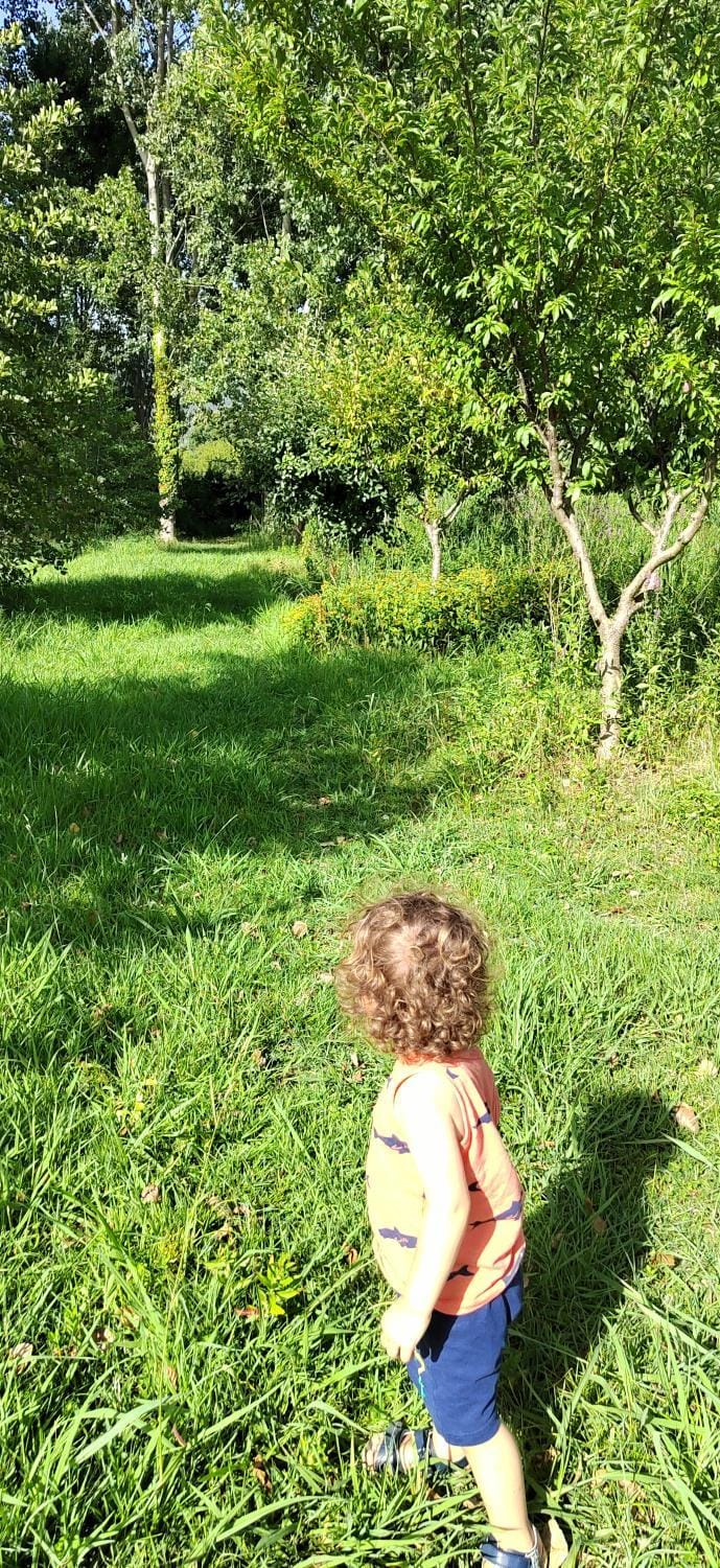 People, Garden view, children, group of guests