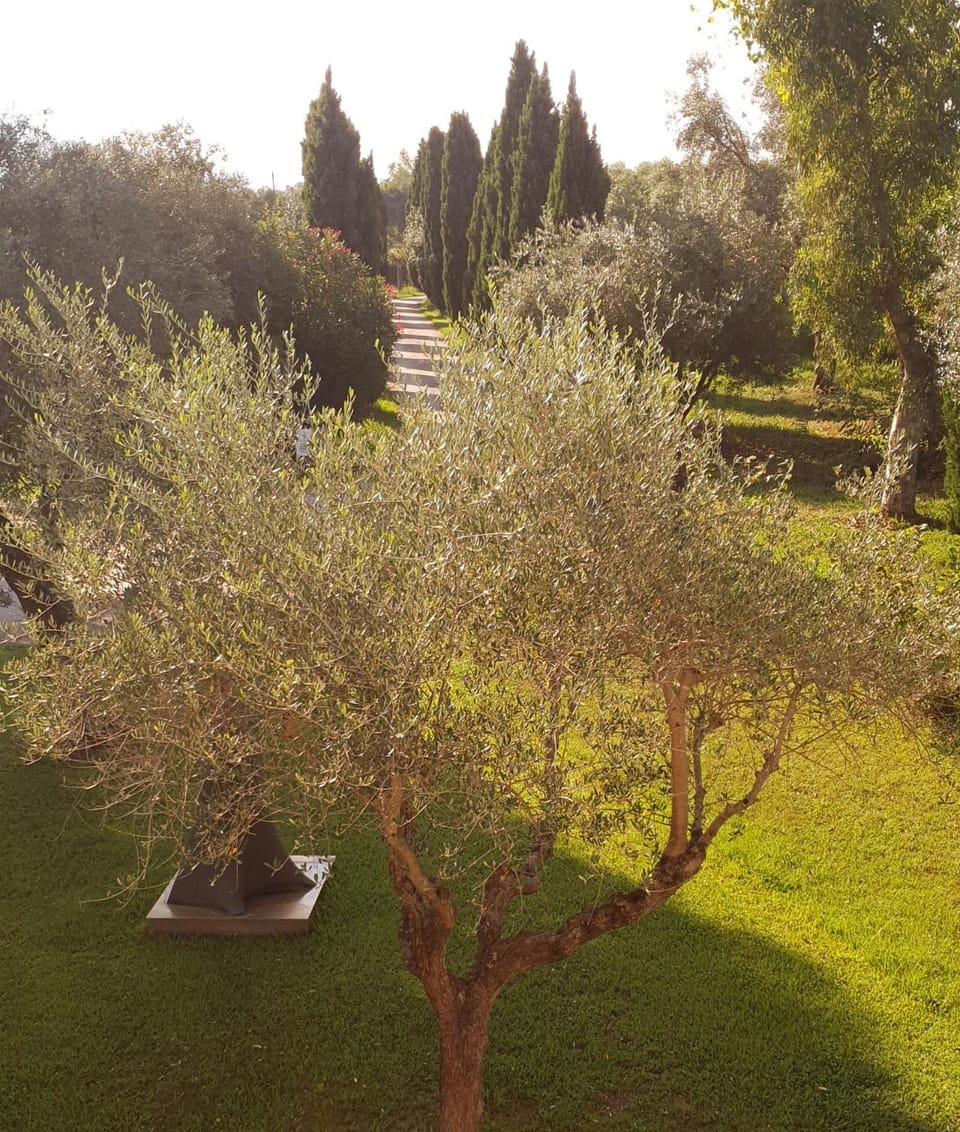 Fattoria Il Giardo Apartment in Emilia-Romagna