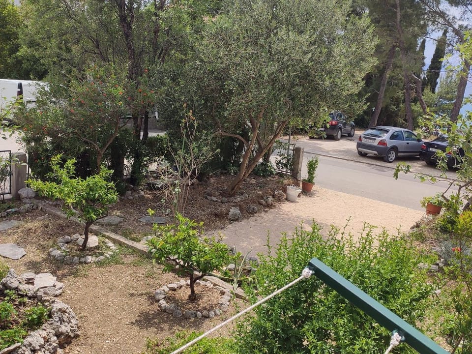 Garden, Garden view, Quiet street view