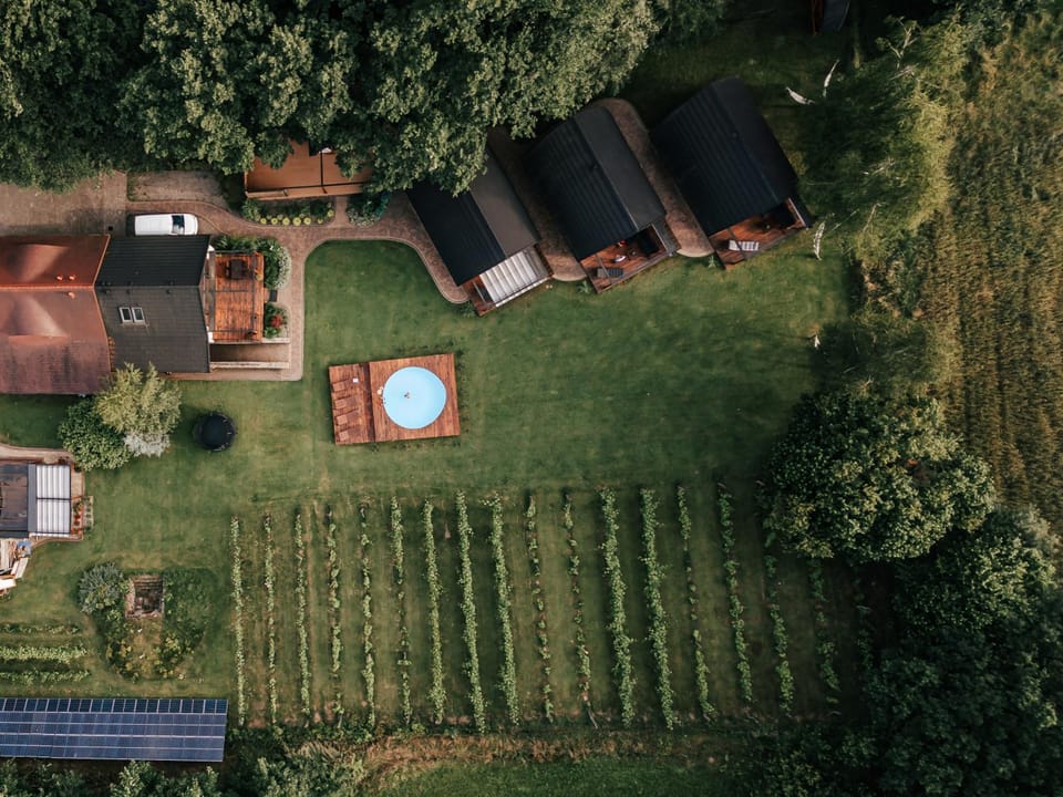 Property building, Bird's eye view, Summer, Garden, Garden view, Swimming pool
