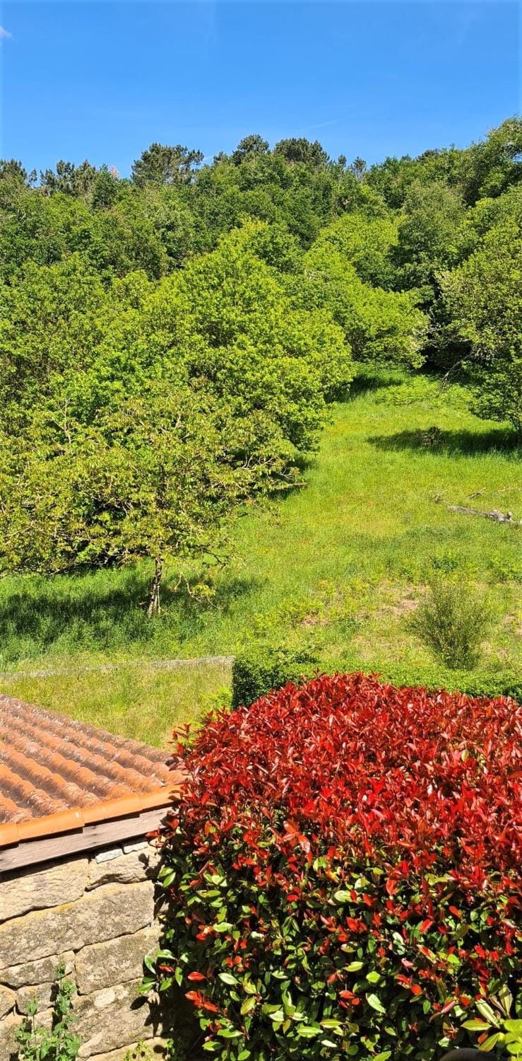 View (from property/room), Garden view, Mountain view