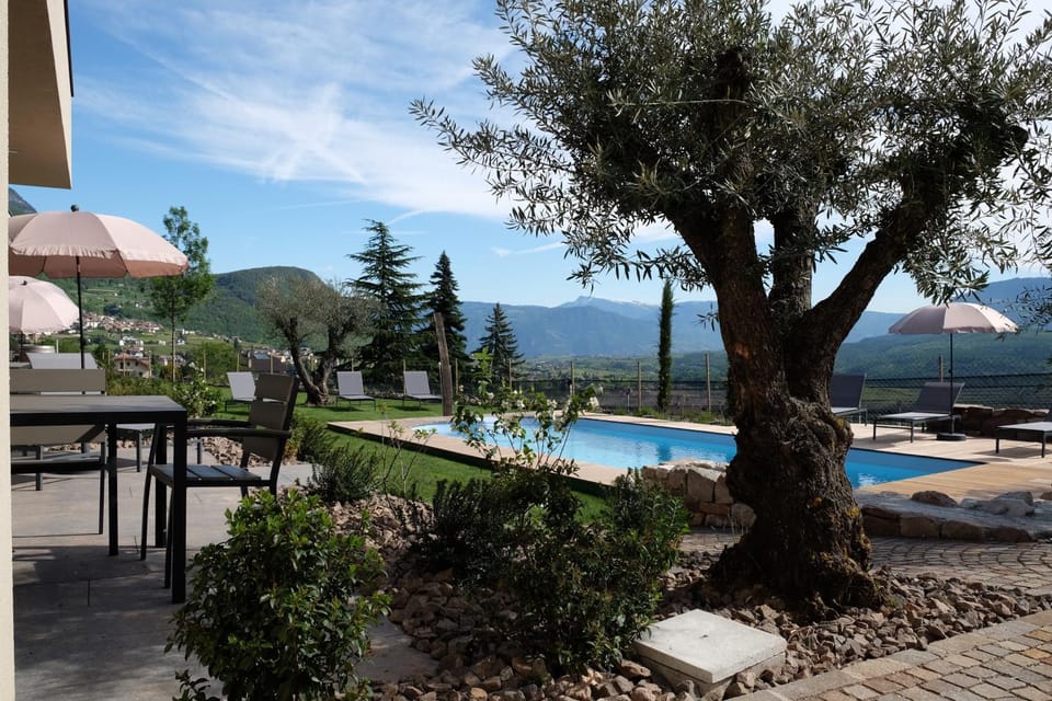 Natural landscape, Pool view, Swimming pool, Swimming pool