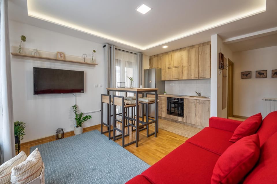 Apartman Tri sove Apartment in Zlatibor