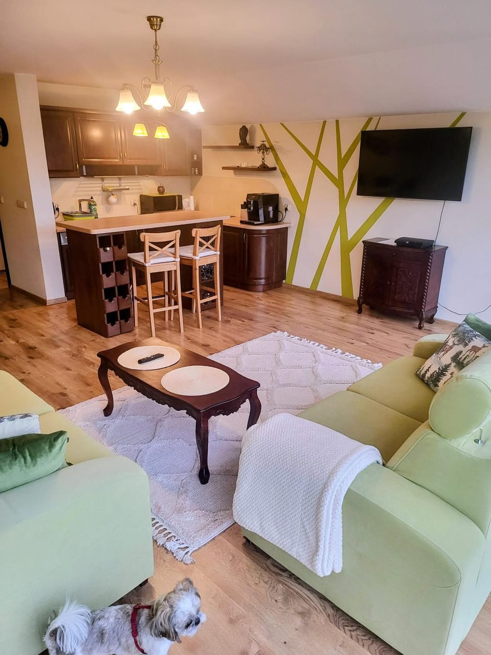 Kitchen or kitchenette, Living room