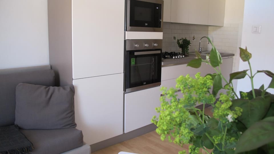 Kitchen or kitchenette, microwave, oven