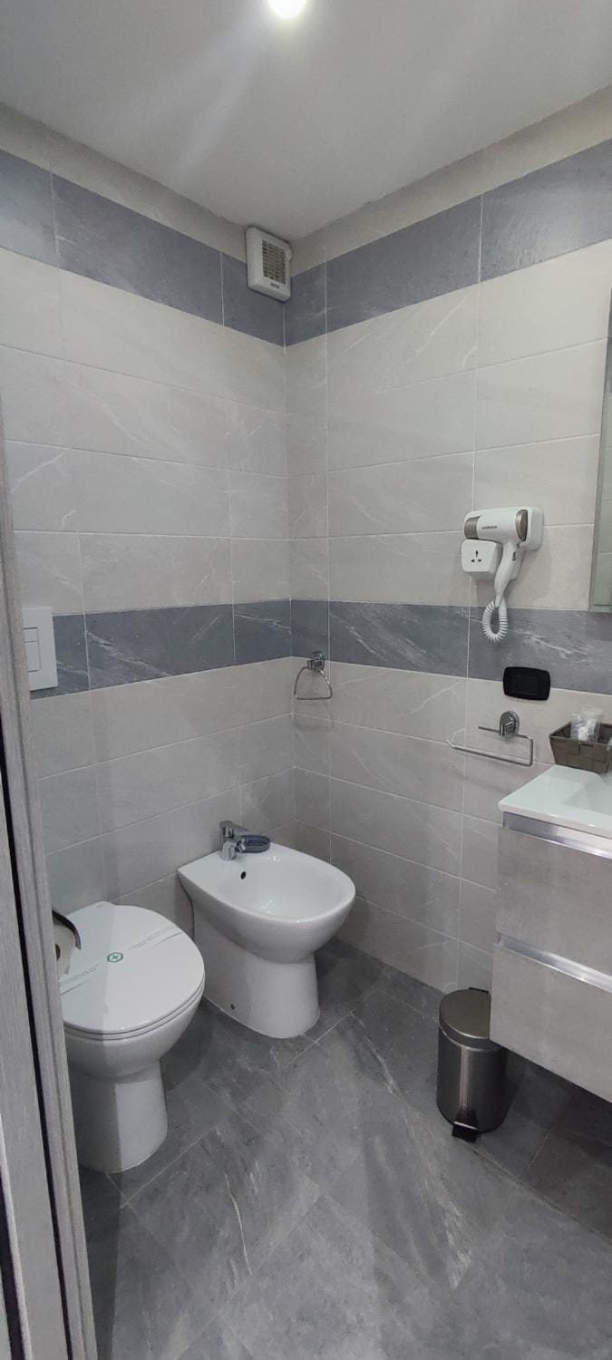 Shower, Toilet, Bathroom, bidet