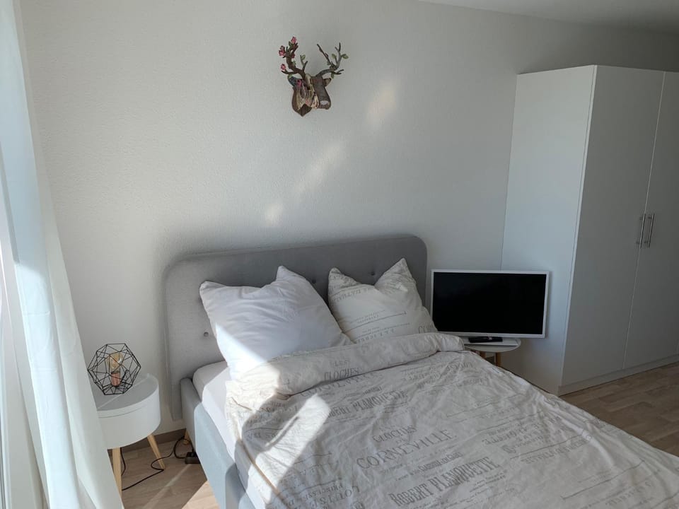 Bed, TV and multimedia, Photo of the whole room, Bedroom