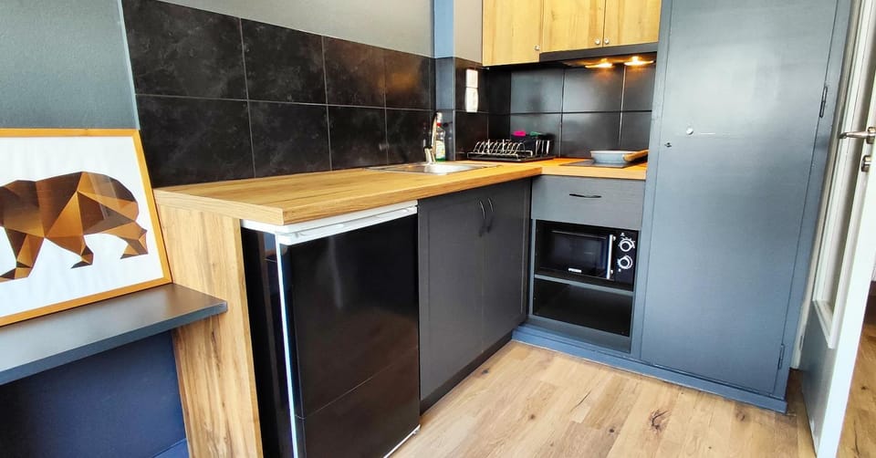 Kitchen or kitchenette, minibar, stove