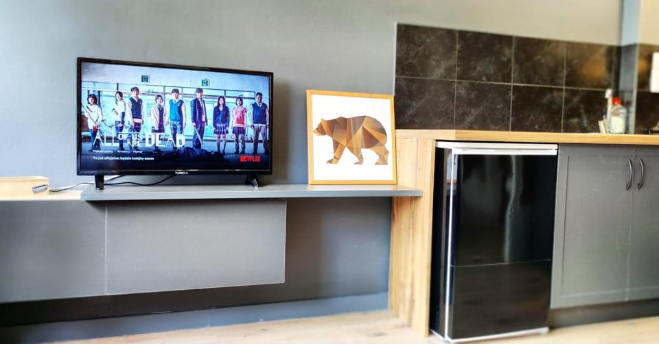 TV and multimedia