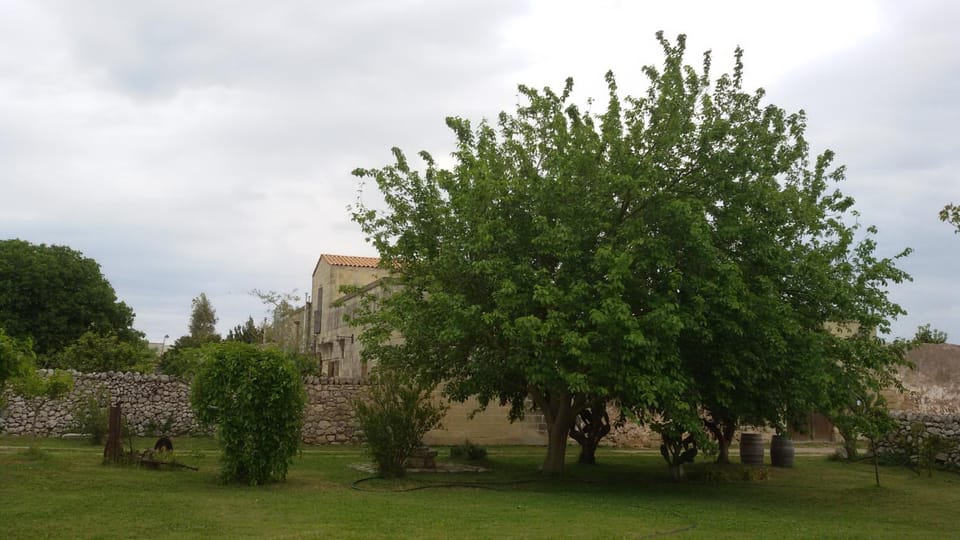 Property building, Day, Garden