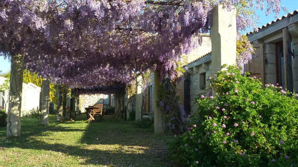 Facade/entrance, Garden, Garden view