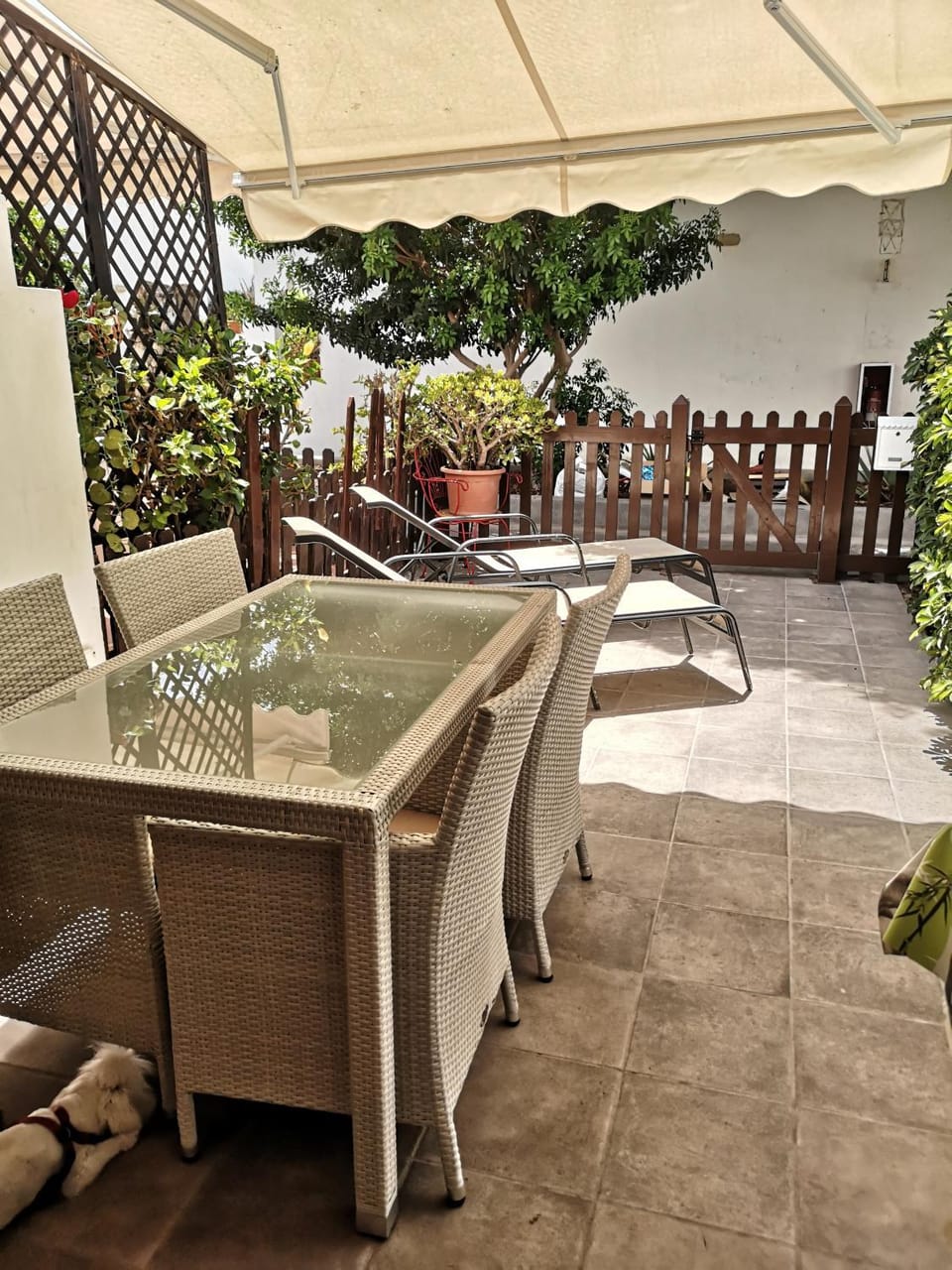 Patio, Garden view