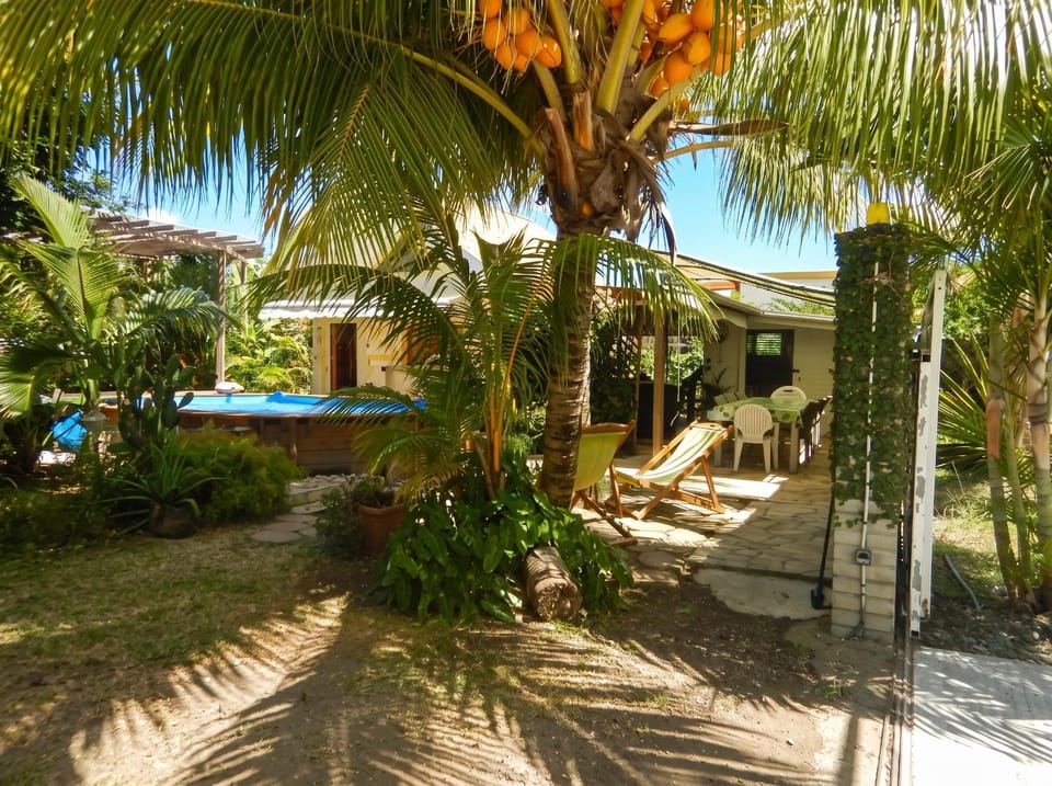 Garden view