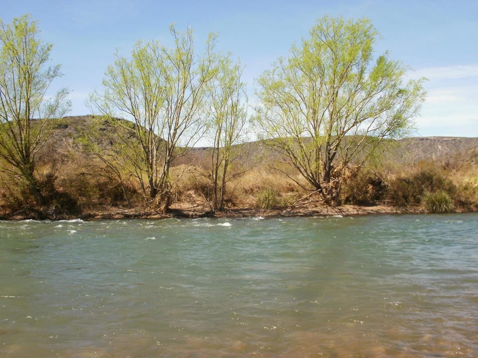 River view