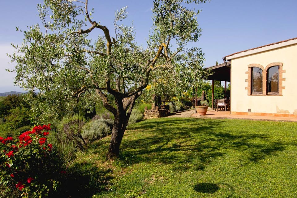 Garden, Garden view