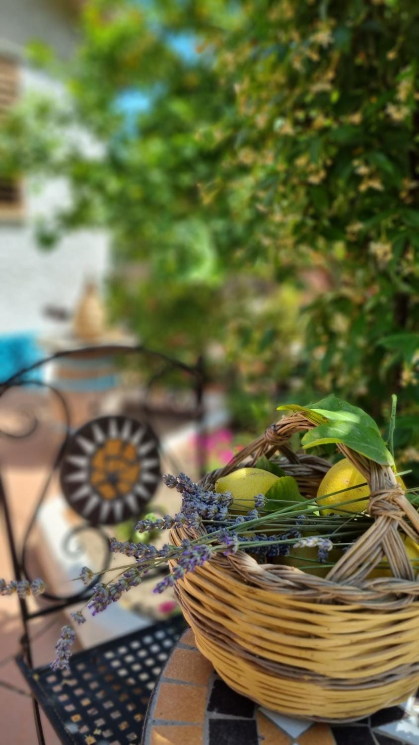 Garden, Food