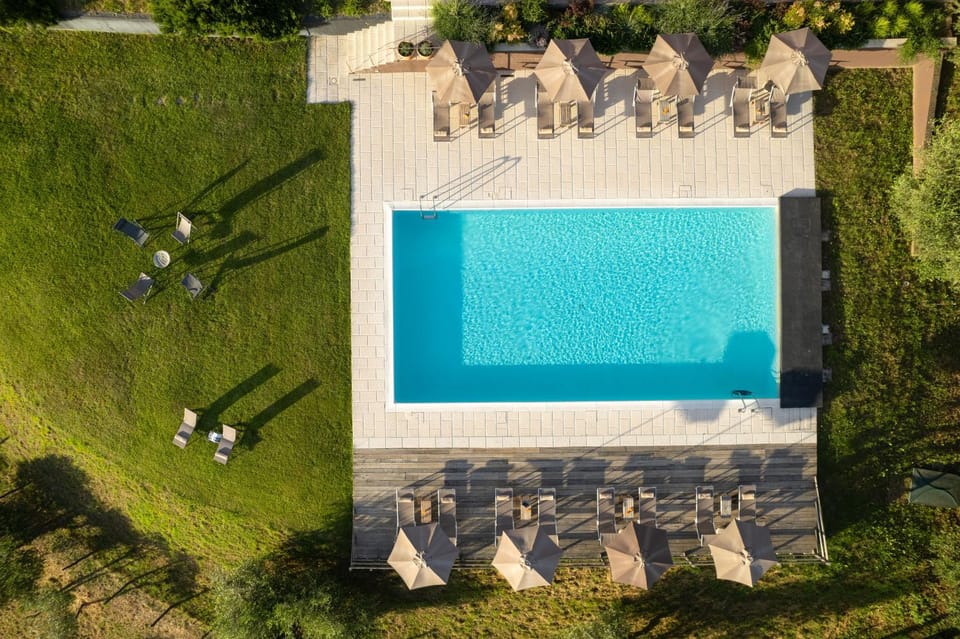 Day, Garden, Garden view, Pool view, sunbed