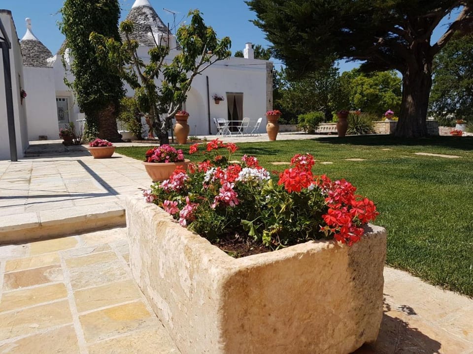 Trulli Dal Conte Apartment in Province of Taranto
