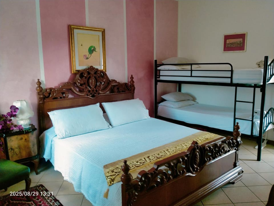 Bed, Photo of the whole room, Bedroom, bunk bed