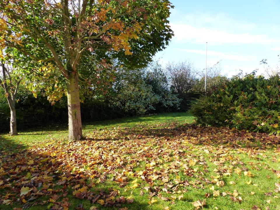 Haus Isabella Apartment in Boltenhagen