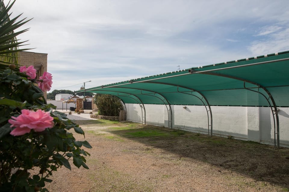 Garden, Parking