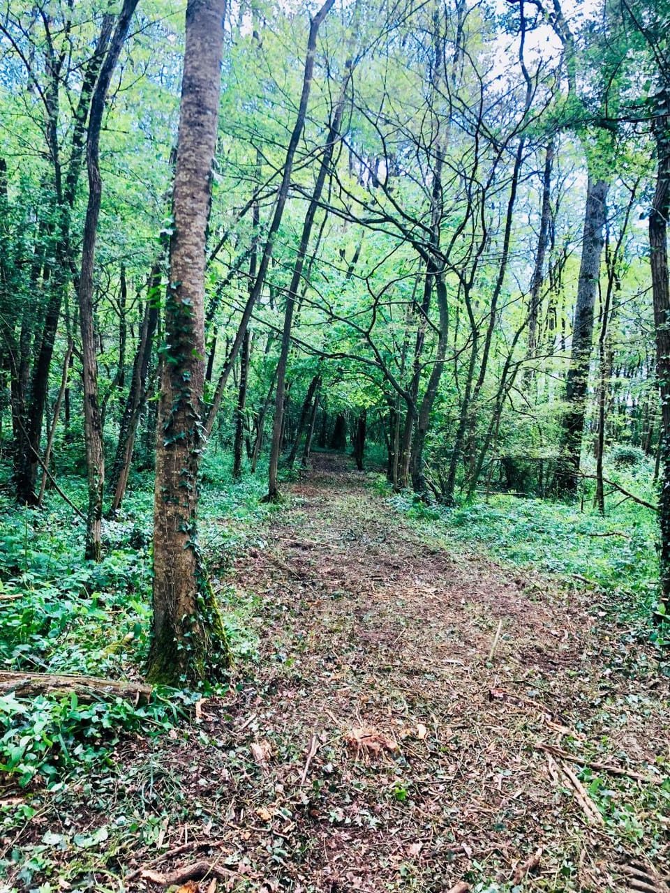 Natural landscape, Hiking