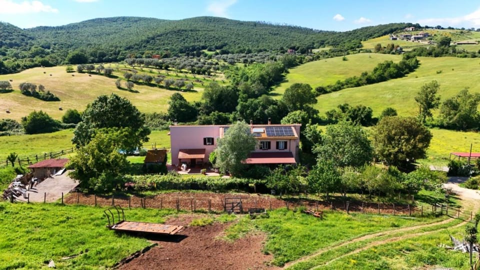 Property building, Day, Garden, Garden view