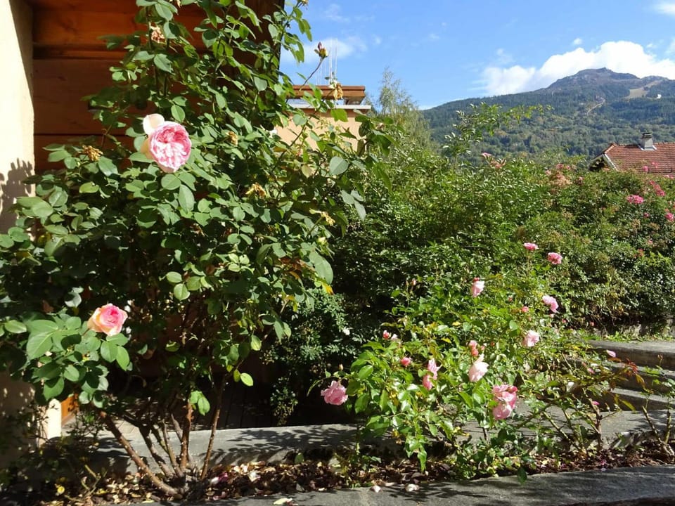 Charmant appart 3 pièces, 6 pers, terrasse à Bourg Saint Maurice - FR-1-411-606 Apartment in La Plagne-Tarentaise