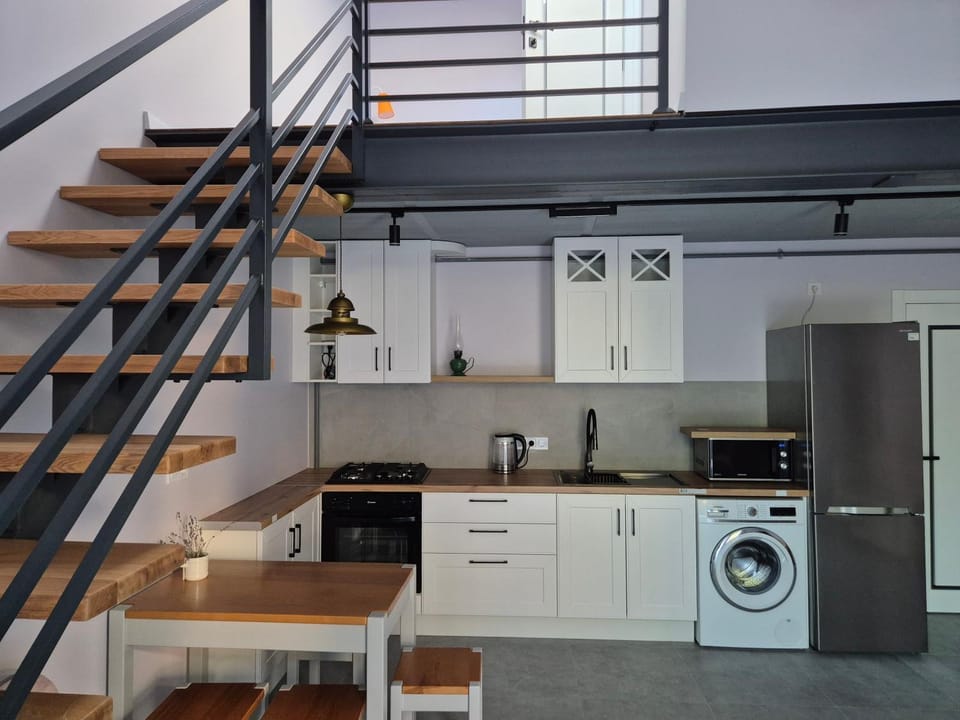 Kitchen or kitchenette, heating, minibar, oven, pet friendly, stove, washing machine, dryer