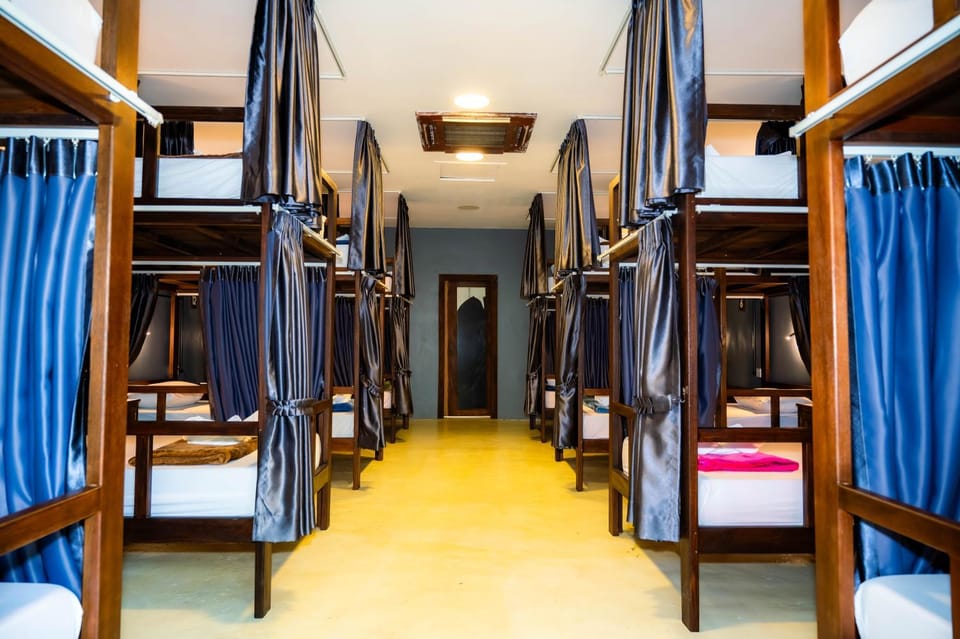 bunk bed
