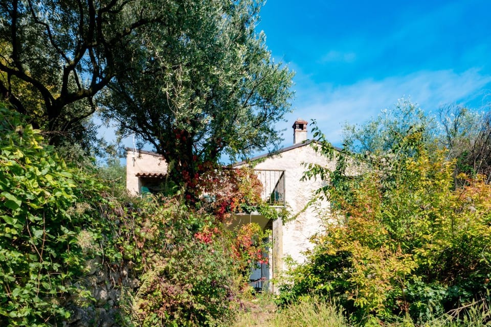 Property building, Garden, Balcony/Terrace