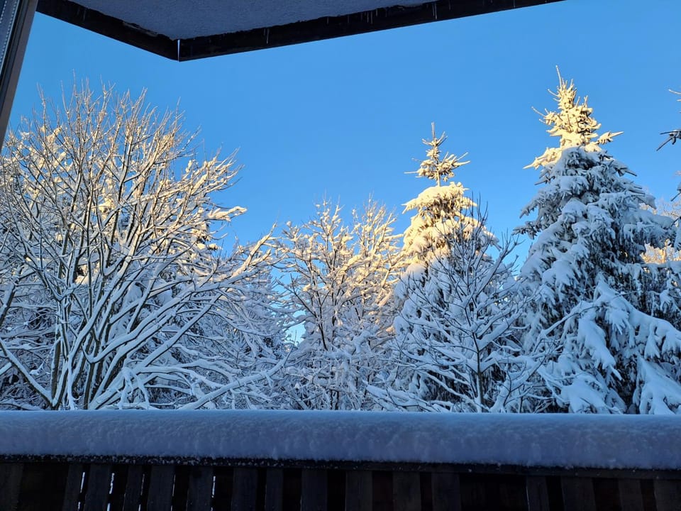 Natural landscape, Winter