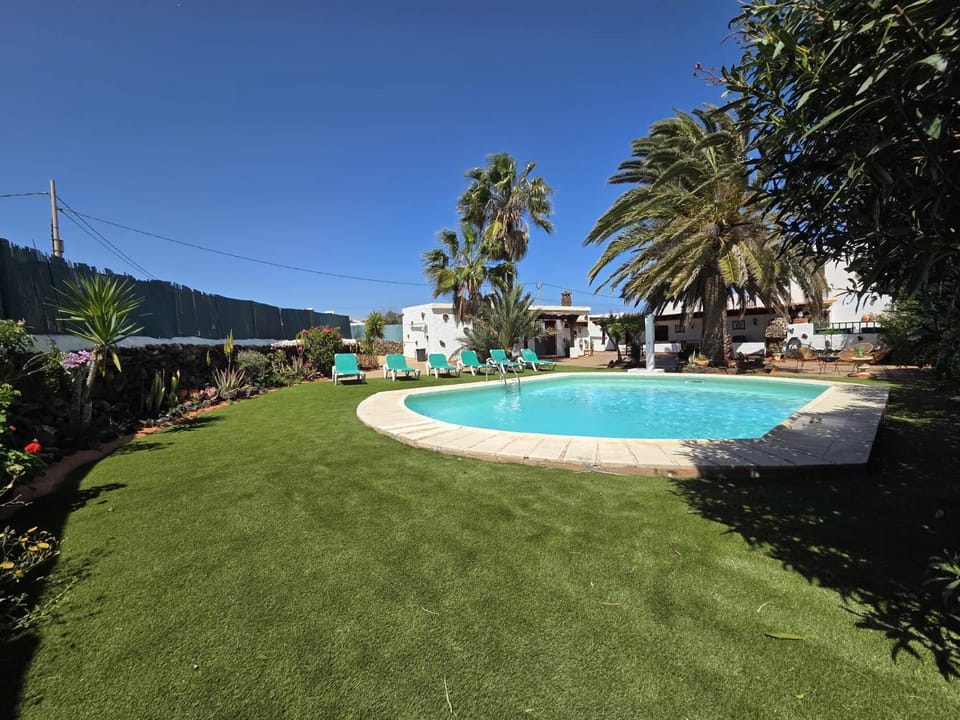 Day, Garden, Garden view, Pool view, Swimming pool, sunbed