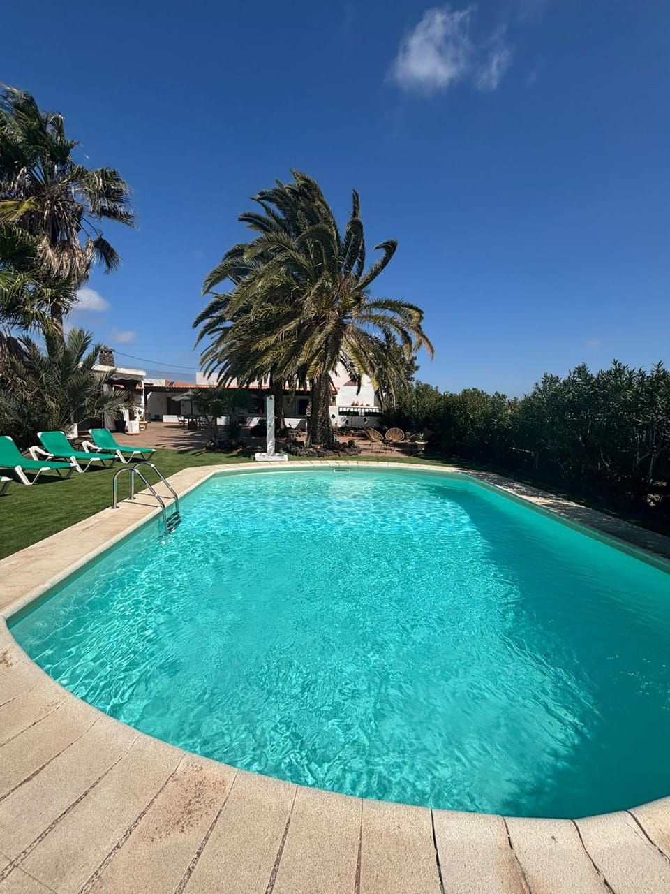 Day, Pool view, Swimming pool, sunbed