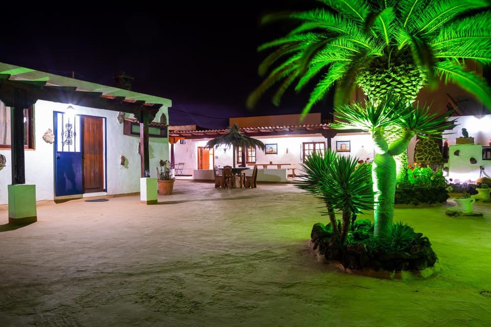 Night, Garden, Garden view