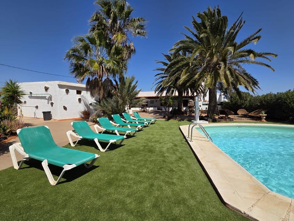 Day, Garden, Garden view, Pool view, Swimming pool, sunbed