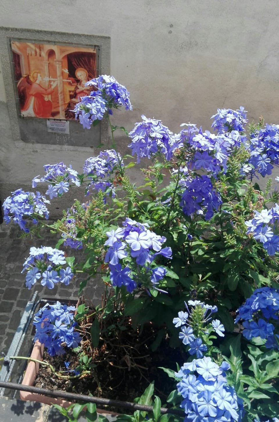 Palazzetto Bentivoglio House in Umbria