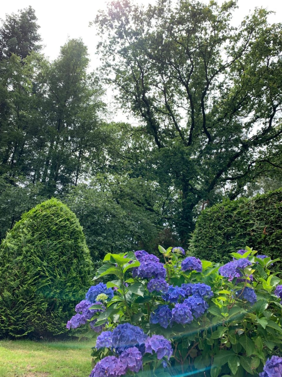 Natural landscape, Garden