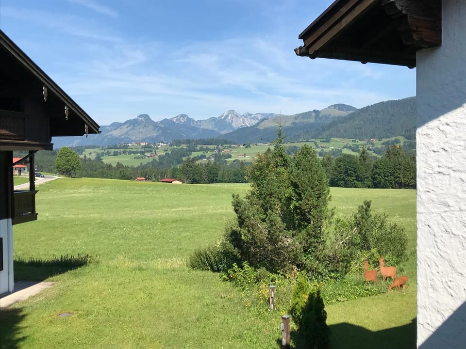 Mountain view